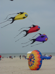 Berck2010-295