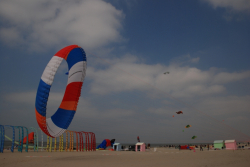 Berck2010-298
