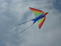 Berck2010-303