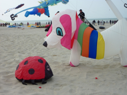 Berck2010-304