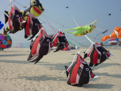 Berck2010-353