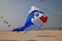 Berck2010-366