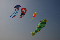 Berck2010-378