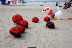 Berck2010-387