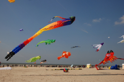 Berck2010-388