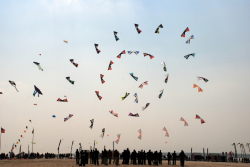 Berck2010-389