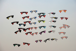 Berck2010-390