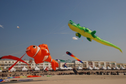 Berck2010-394