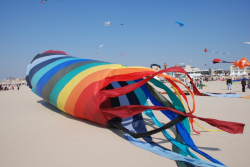 Berck2010-398