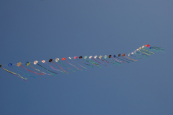 Berck2010-402