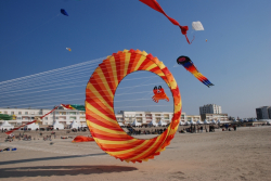 Berck2010-403
