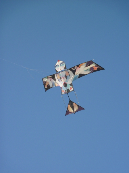 Berck2010-457