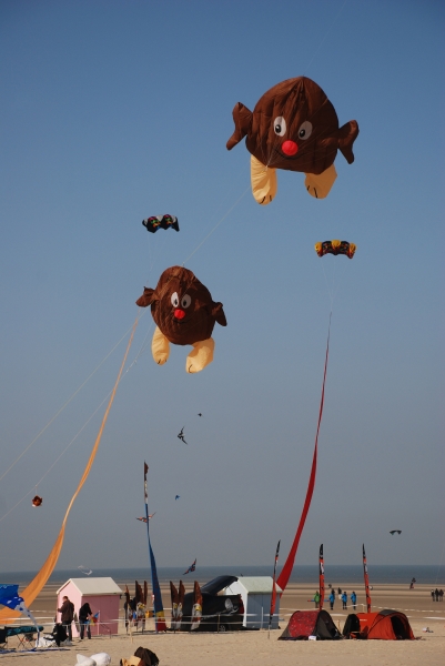 Berck2010-460