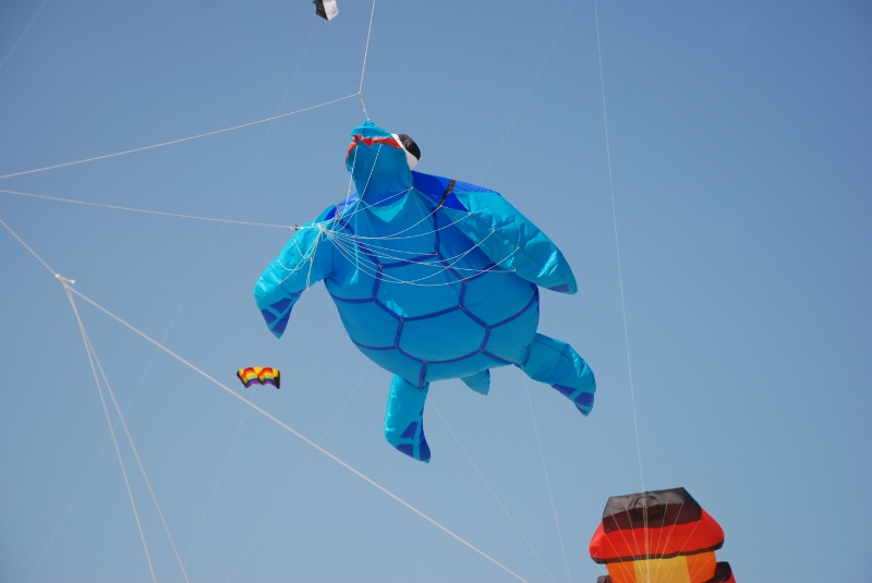 Berck2010-465