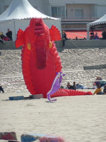 Berck2010-474