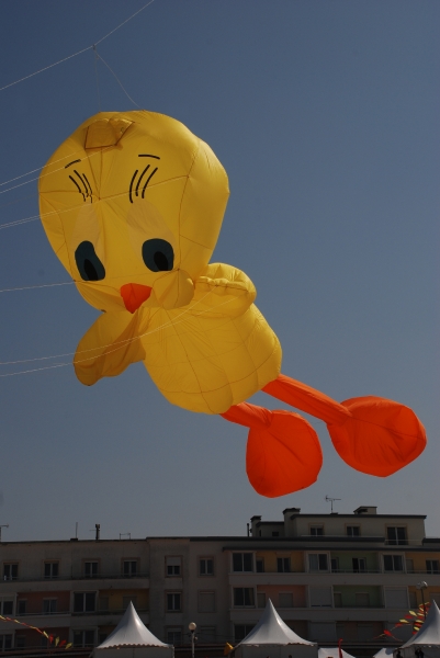 Berck2010-475