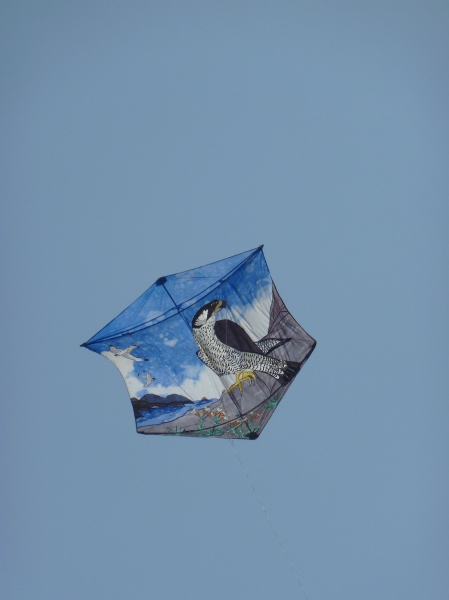 Berck2010-482