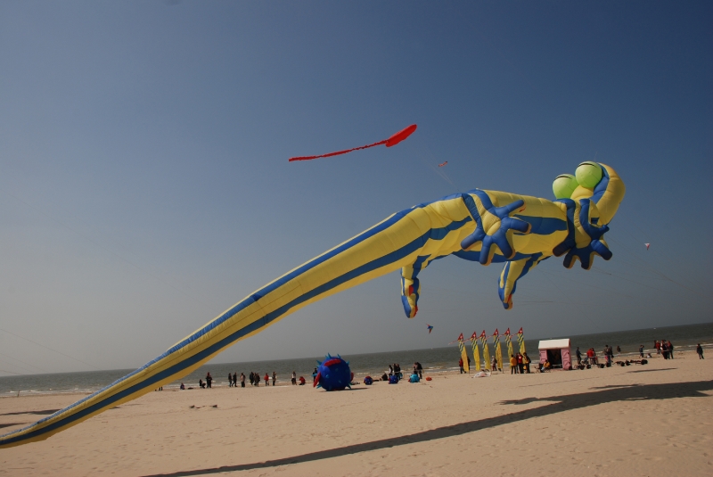 Berck2010-502