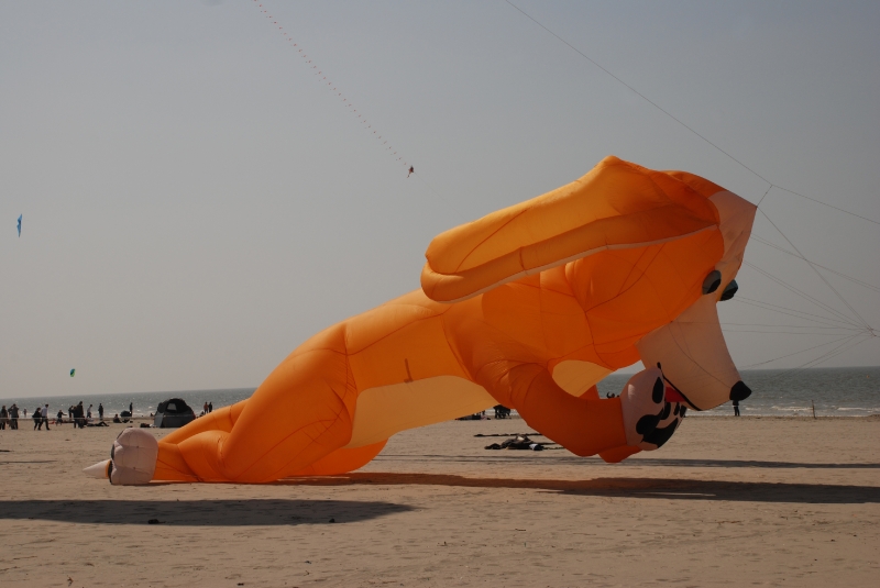 Berck2010-503