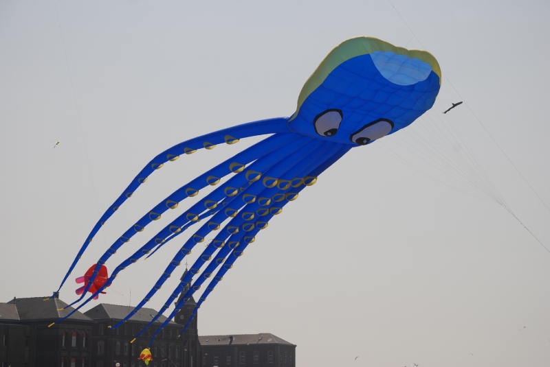 Berck2010-505