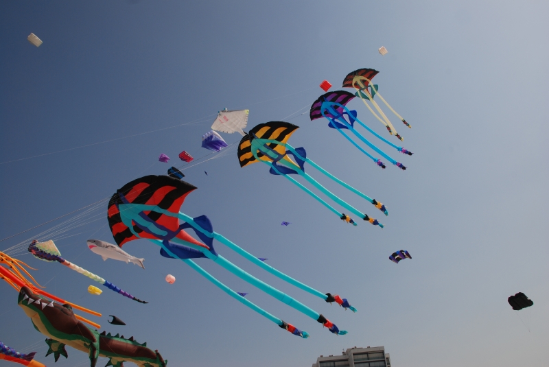 Berck2010-506
