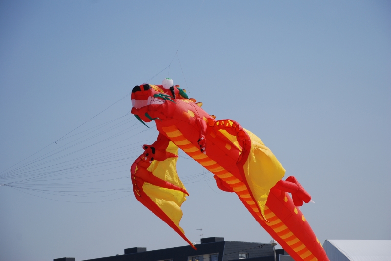 Berck2010-518