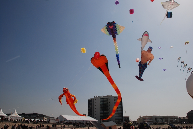 Berck2010-521