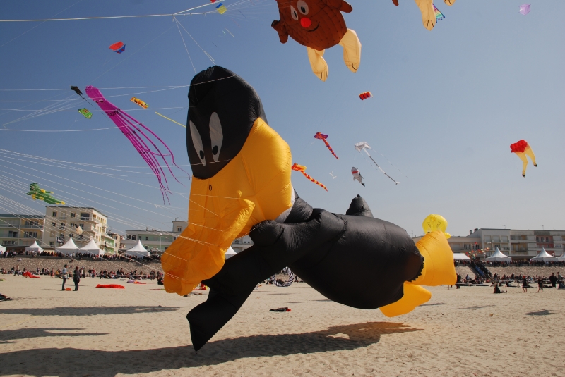 Berck2010-531