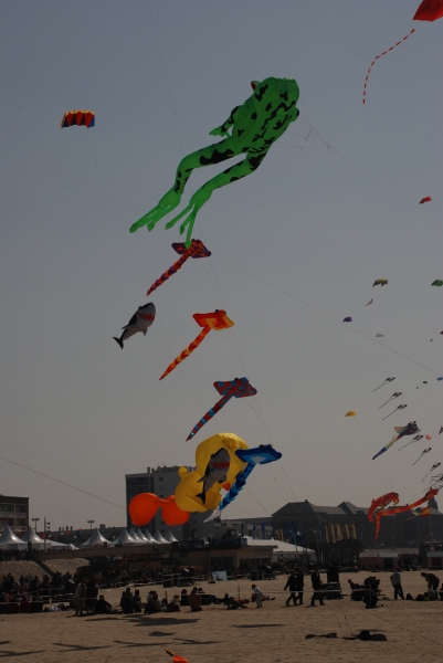 Berck2010-540