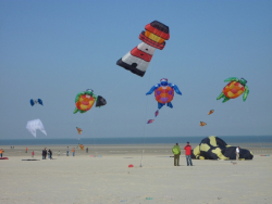 Berck2010-456