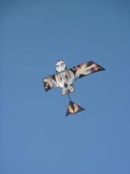 Berck2010-457