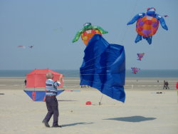 Berck2010-458
