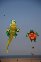 Berck2010-459