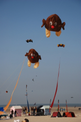Berck2010-460