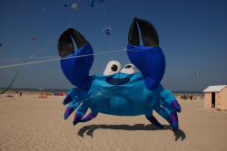 Berck2010-463
