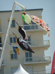 Berck2010-479