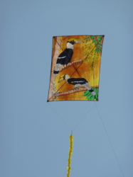 Berck2010-481