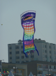 Berck2010-483