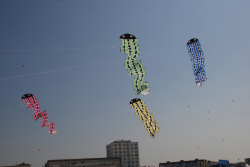 Berck2010-492