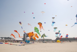 Berck2010-495