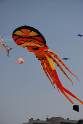 Berck2010-496
