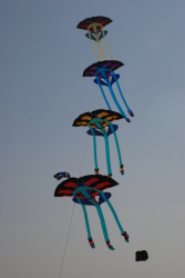 Berck2010-497