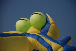 Berck2010-501
