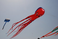 Berck2010-504