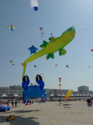 Berck2010-513