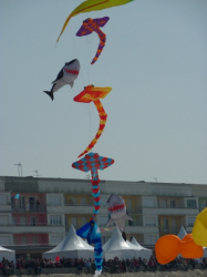 Berck2010-515