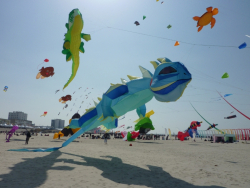 Berck2010-517