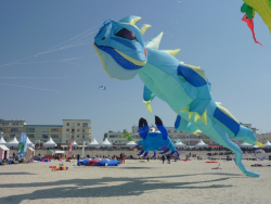 Berck2010-520