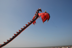 Berck2010-523