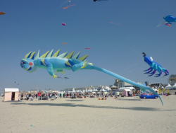 Berck2010-524